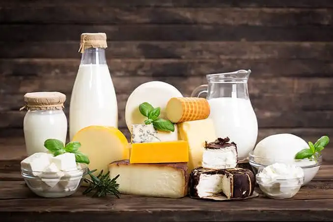 دراسة جدوى مشروع منتجات الألبان والسمن البلدي وعوامل نجاح المشروع