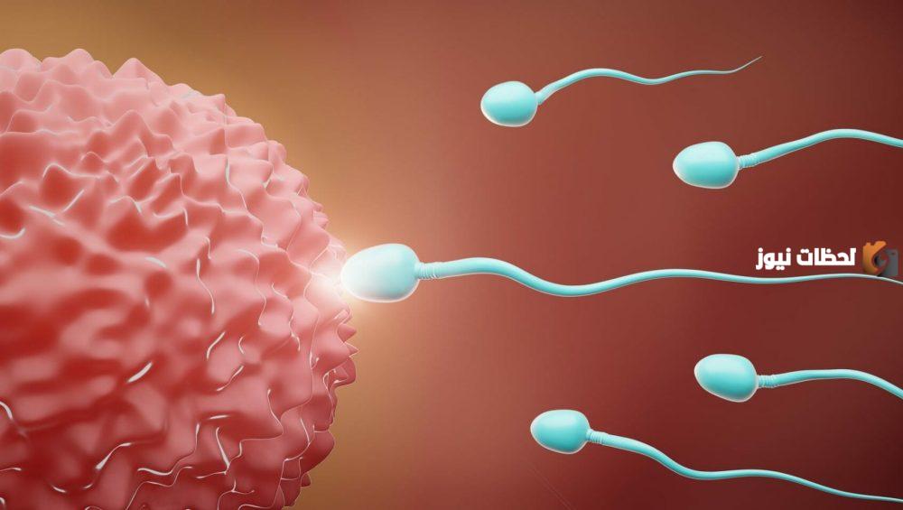 ما هي أسباب وعلاج ضعف الحيوانات المنوية
