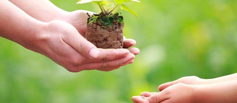 عبارات جميلة عن حسن الخلق قصيرة لكن معبرة