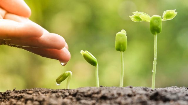 عبارات جميلة عن حسن الخلق قصيرة لكن معبرة