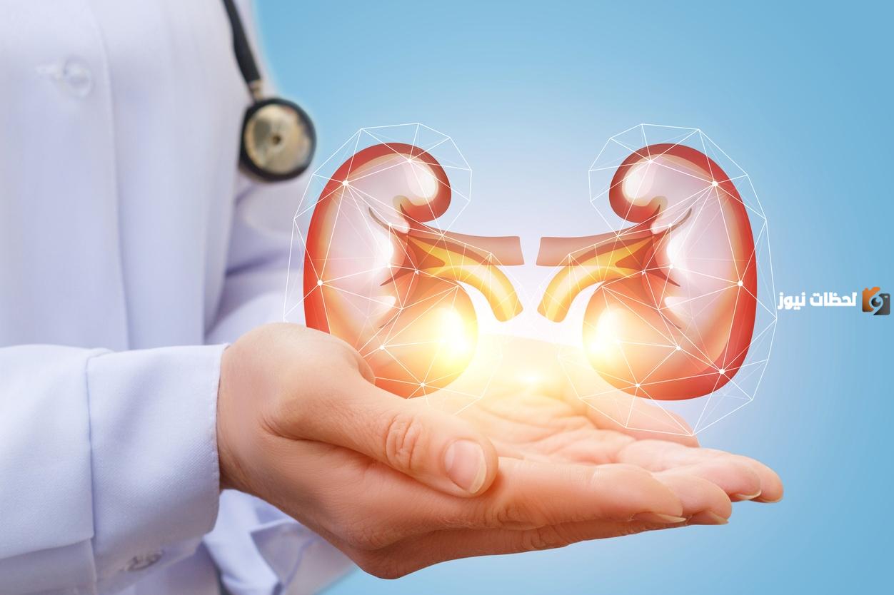 علاج التهاب الكلى بالأعشاب بأسرع طريقة