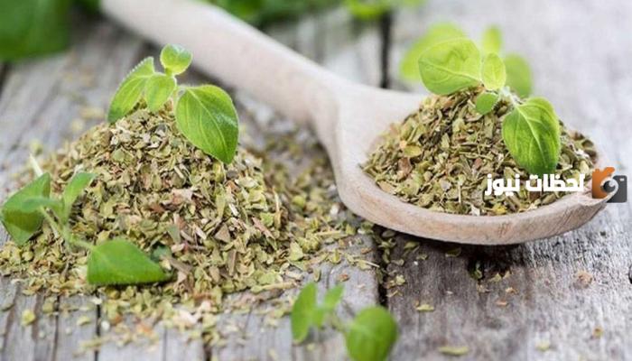 فوائد البردقوش للتنحيف وطريقة الاستخدام الصحيحة