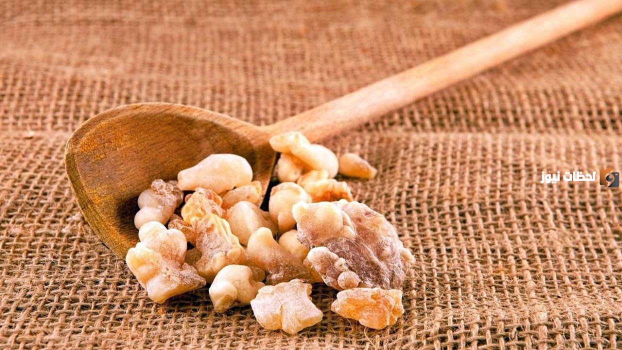 فوائد منقوع لبان الذكر للبشرة وطريقة استخدامه