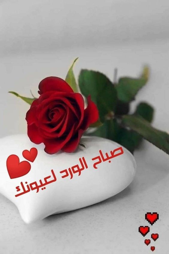 كلام جميل صباح الخير حبيبتي تويتر