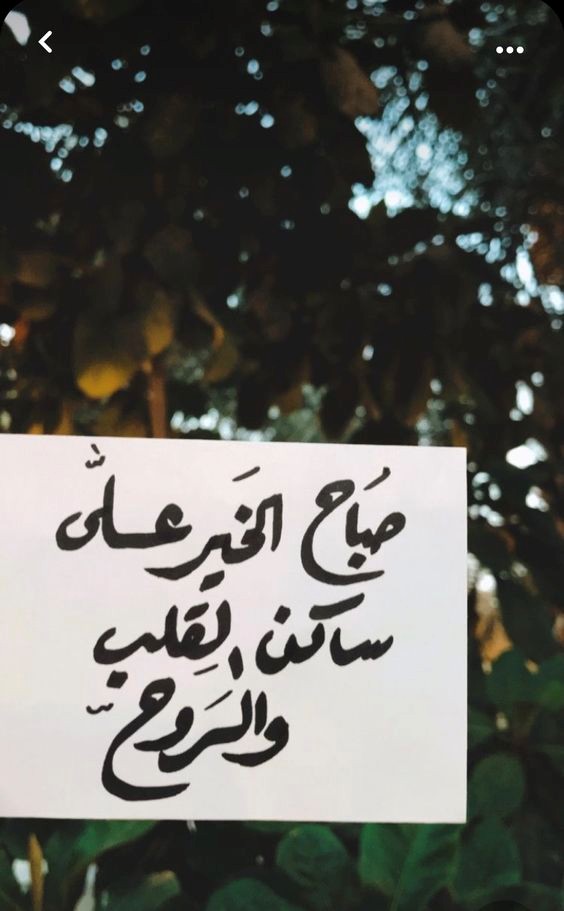 كلام جميل صباح الخير حبيبتي تويتر