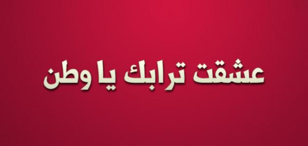 كلمات قصيرة للوطن تعبر عن الاعتزاز والفخر به
