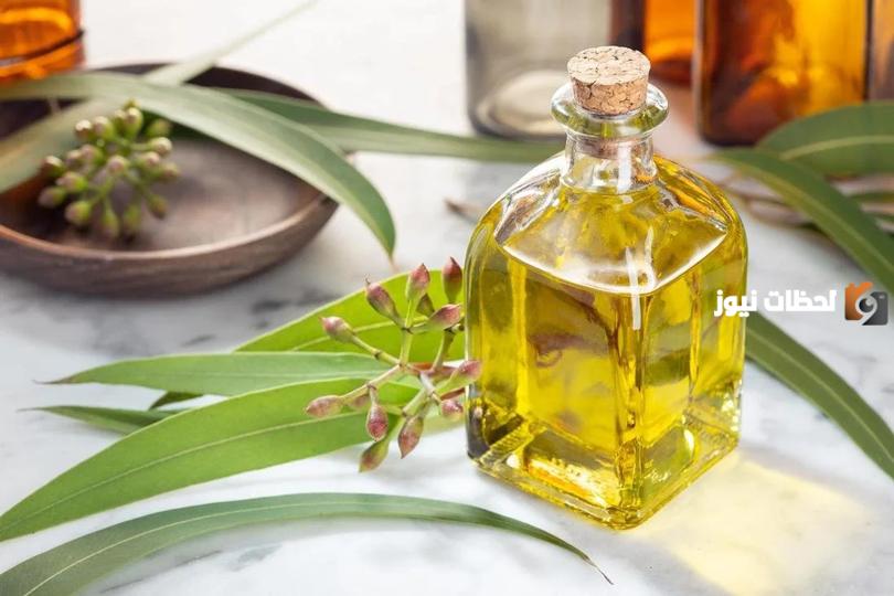ما هي فوائد زيت الكافور للشعر وأضرارة