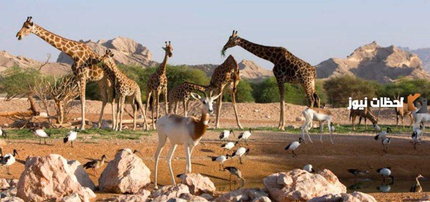 موضوع عن حديقة الحيوانات2