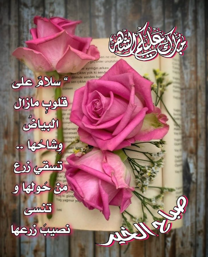 مجانًا | تحميل صور رمضان 2024 عالية الجودة جاهزة للتصميم png برابط مباشر