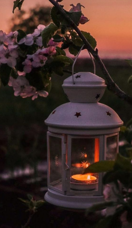 أحلى خلفيات رمضان 2024 صور فوانيس وأدعية تناسب الموبايل والكمبيوتر بجودة عالية