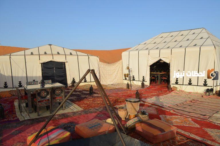 الردادي وش يرجع أصل قبيلة الردادي في مصر