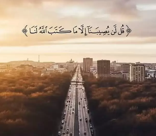 رسالة قرآنية في كل يوم من شهر رمضان.. آية لكل يوم في رمضان 2024 مع شرحها وحكمتها