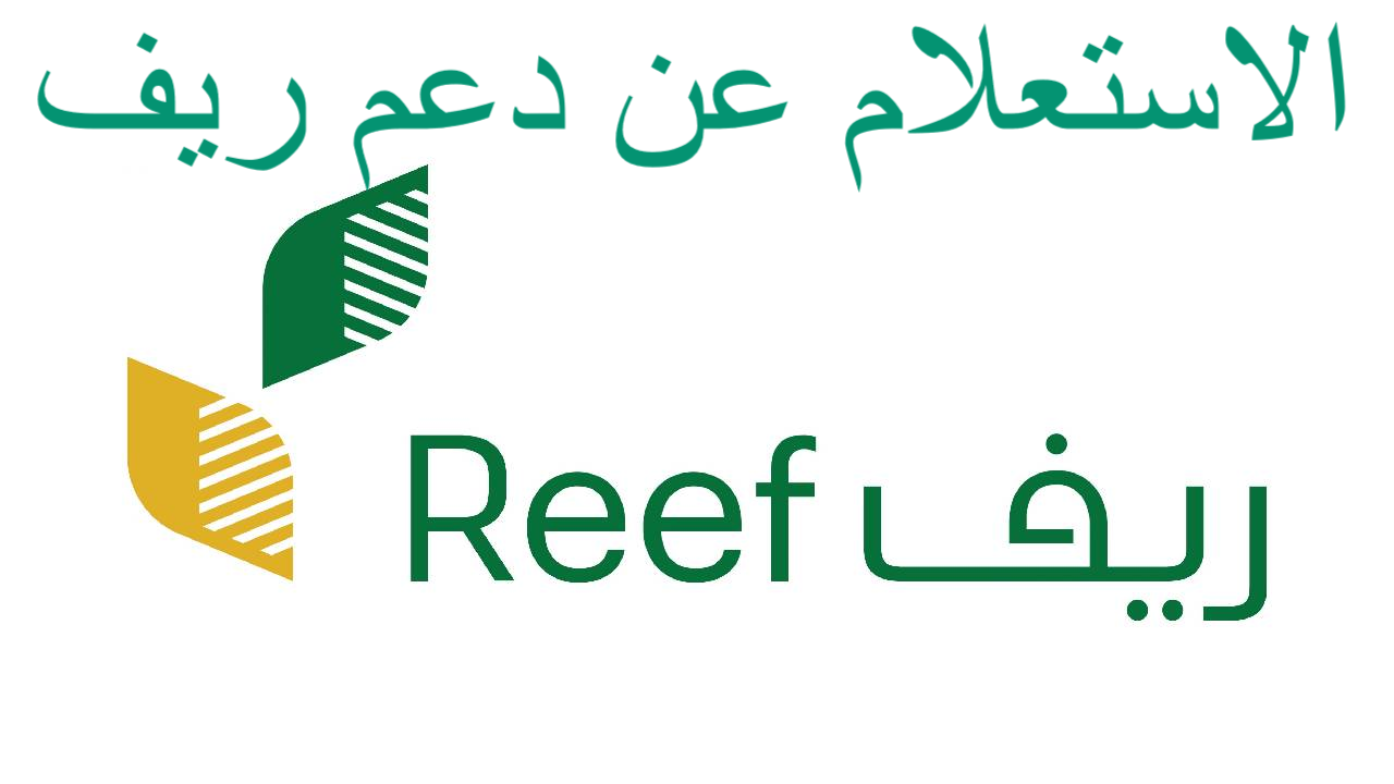 خطوات الاستعلام عن أهلية برنامج ريف في السعودية