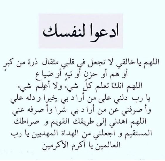 حالات واتس أدعية اليوم الثالث والعشرين من شهر رمضان 2024 من القرآن الكريم