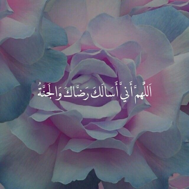 دعاء اليوم العشرين من شهر رمضان 2024 اللهم إني أسألك فيه الجنةَ وما قرَّب إليها من قولٍ أو عملٍ
