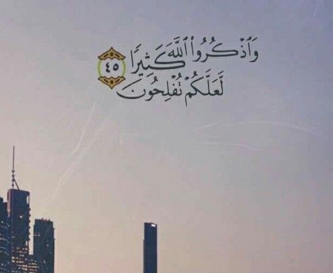 رسالة قرآنية في كل يوم من شهر رمضان.. آية لكل يوم في رمضان 2024 مع شرحها وحكمتها