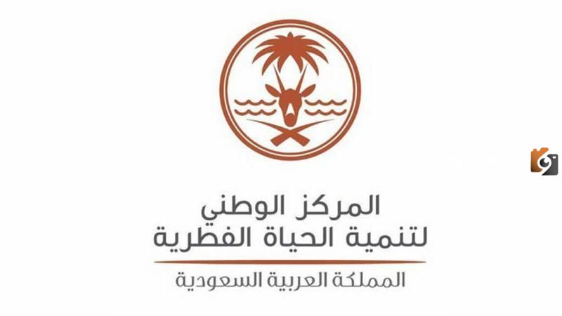 شروط وطريقة استخراج تصريح صيد