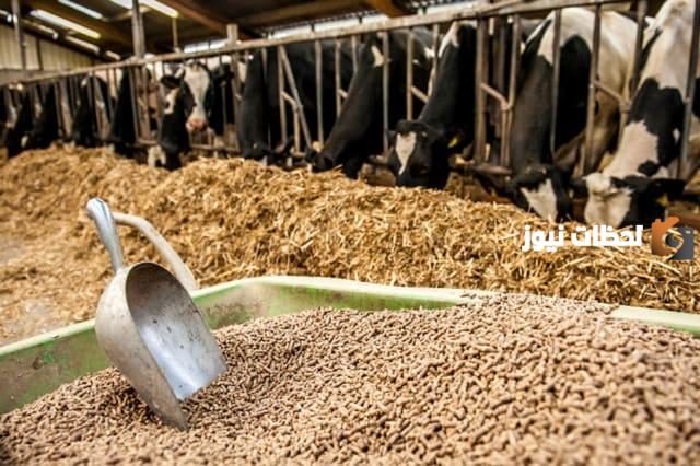 دراسة جدوى مشروع مصنع أعلاف مواشي جاهزة للطباعة