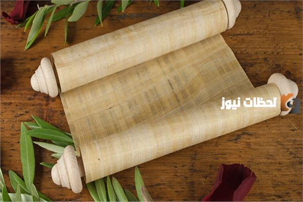 بحث عن ورق البردي كامل العناصر