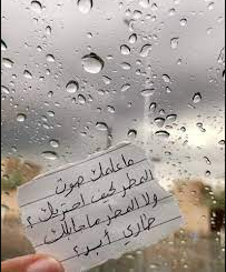 كلام وخواطر عن المطر والشتاء