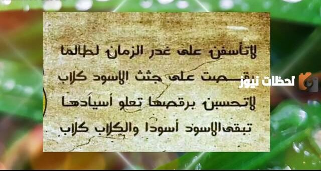 قصيدة الإمام الشافعي (لا تأسفنَّ على غـدرِ الزمانِ)