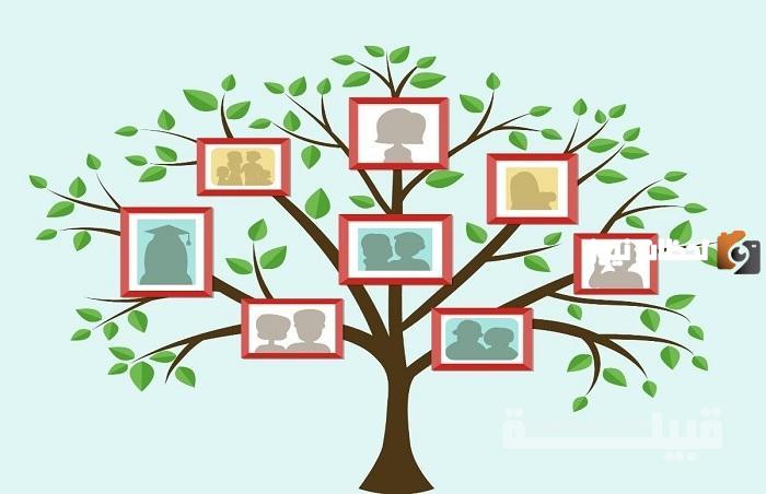رقم هاتف دار المحفوظات المصرية قسم أصول العائلات وطريقة التواصل مع الدار
