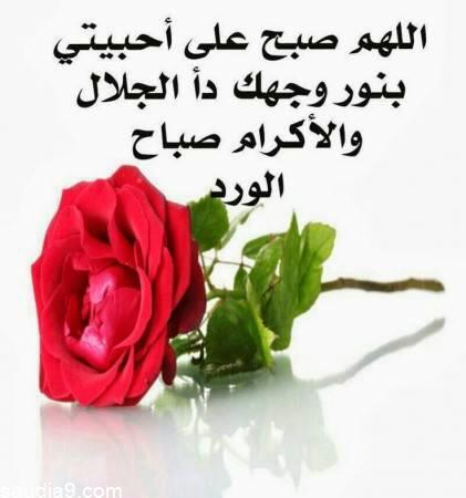 أفضل رسائل رسائل ادعية صباحية قصيرة
