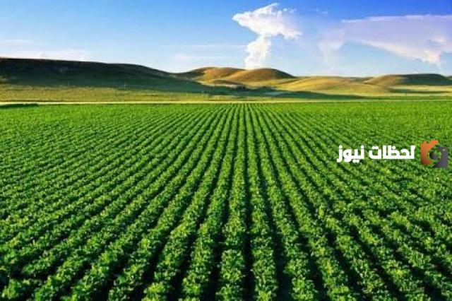 تعريف الزراعة وأنواعها