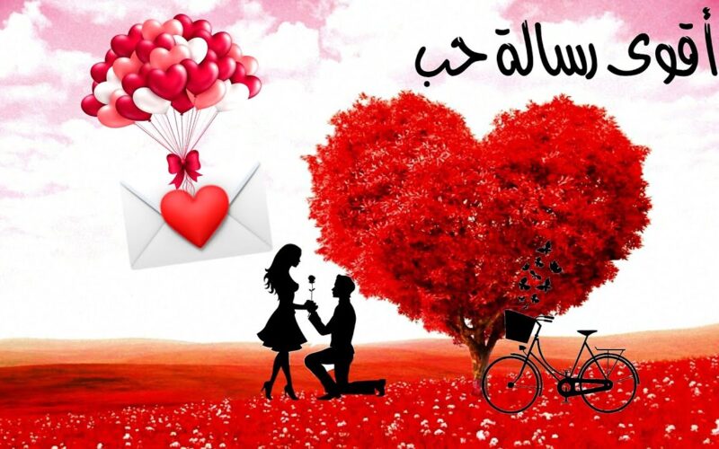 رسائل عيد الحب للحبيب قصيرة