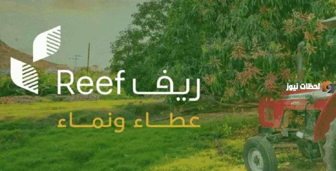 موعد نزول دعم ريف