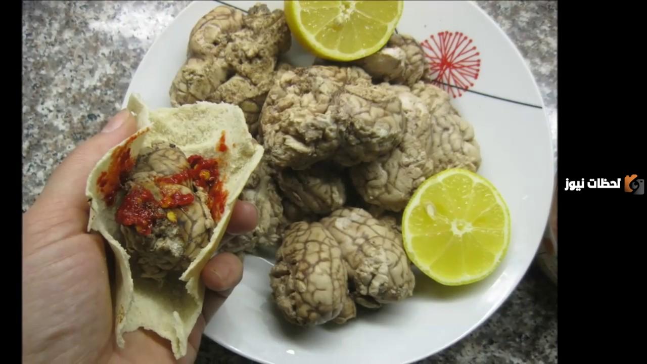 طهي مخ الخروف
