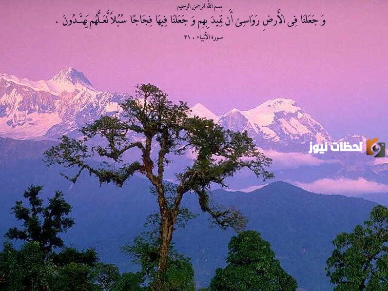 الطبيعة