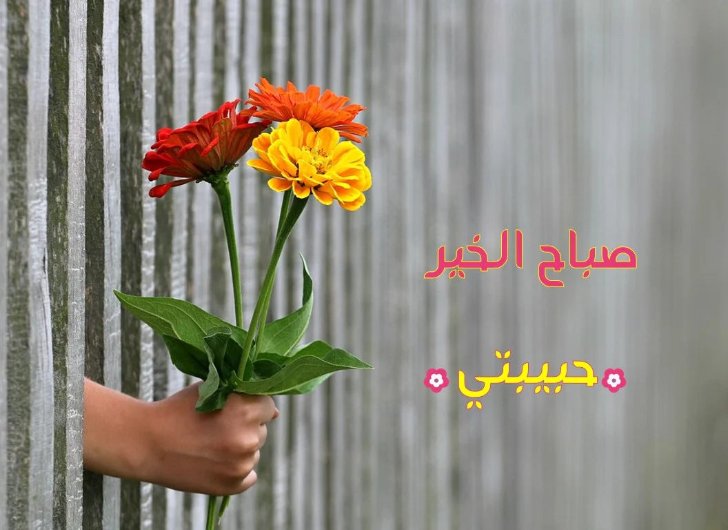 رسائل صباح الخير لحبيبتي