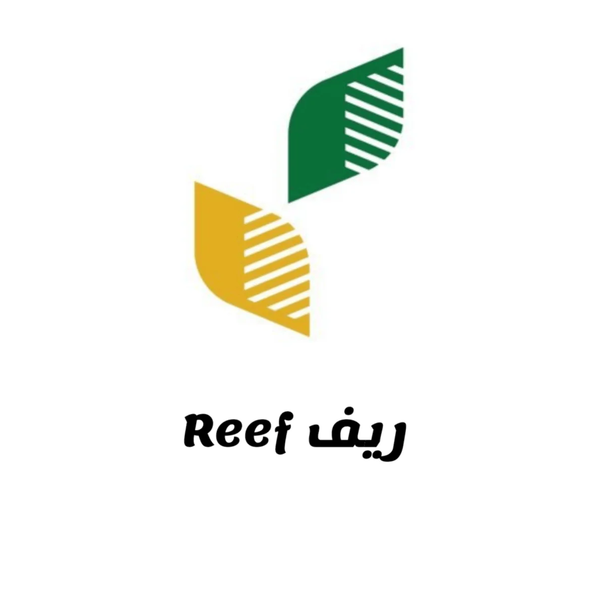 موعد صرف دعم ريف في حساب المستفيد 