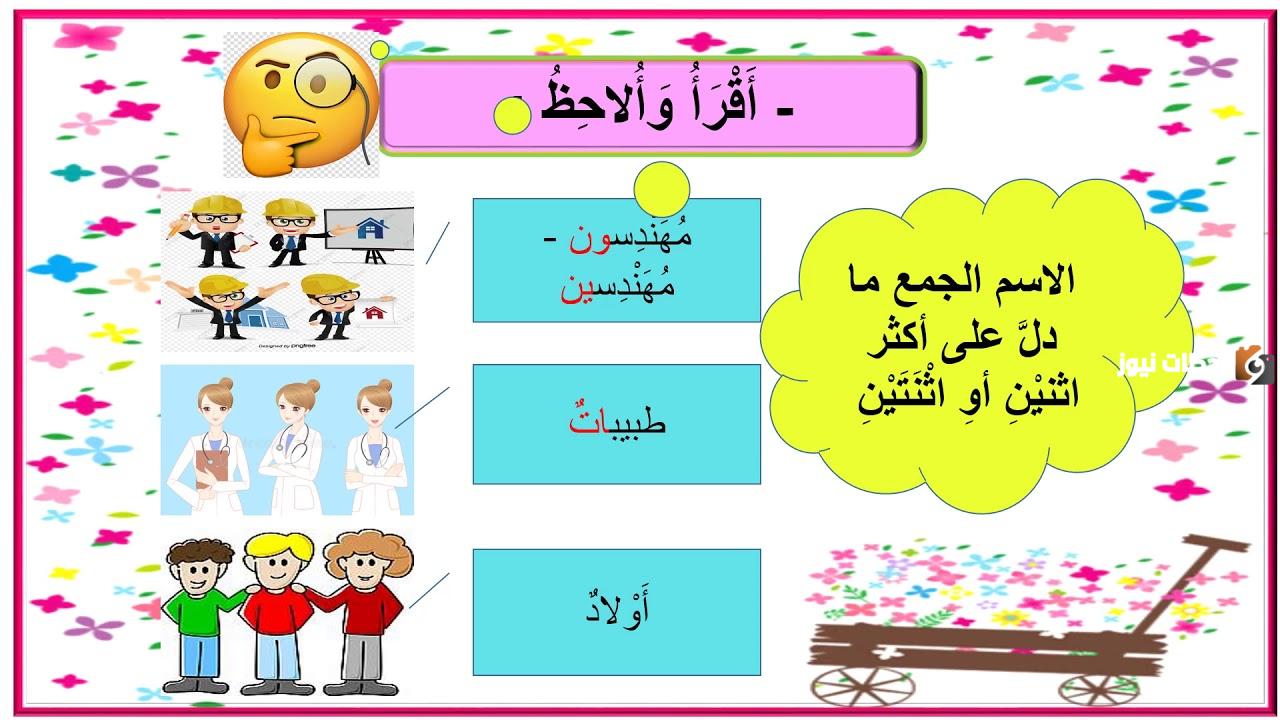  المفرد والمثنى والجمع