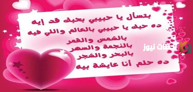 عبارات قصيرة عن عيد الحب
