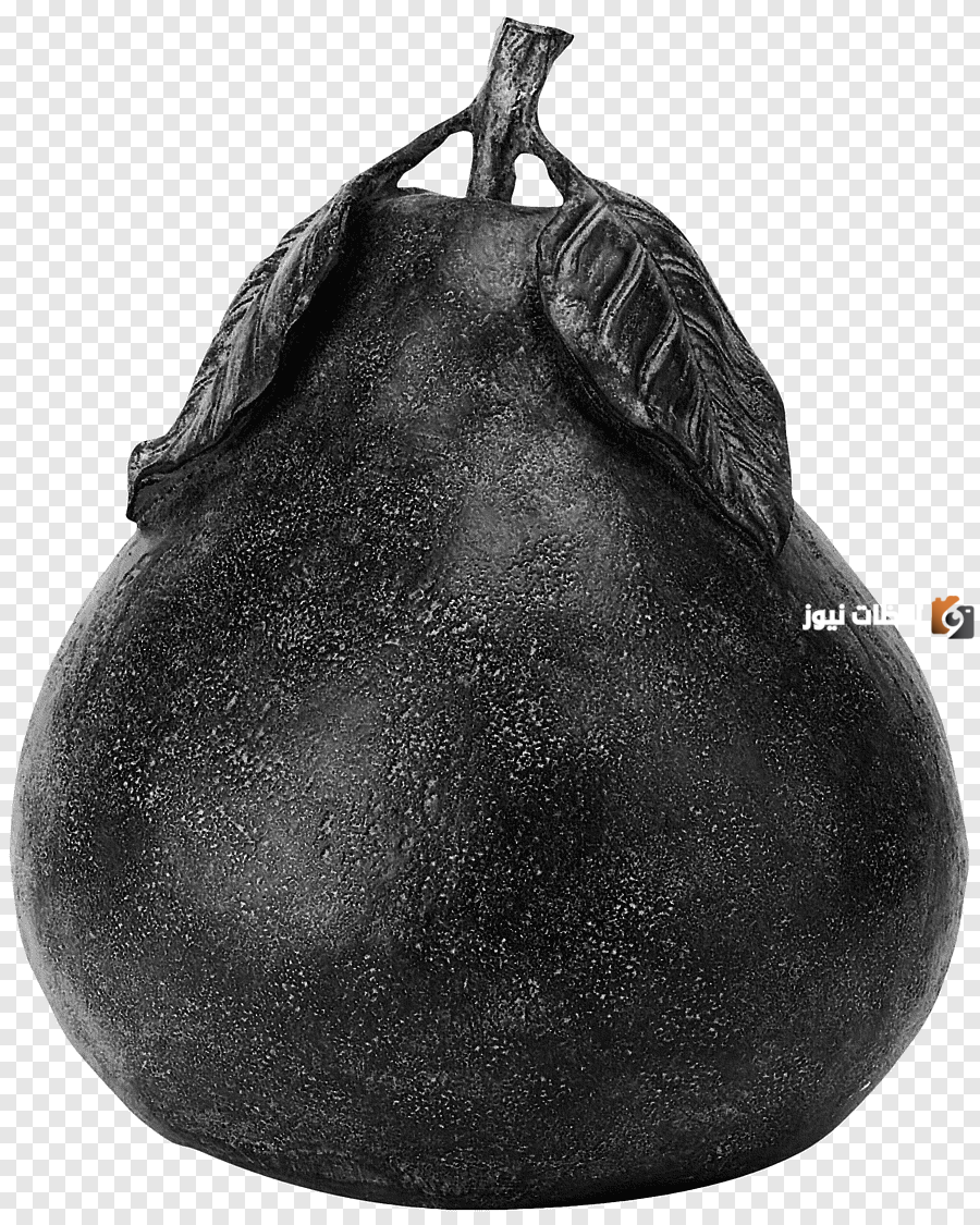  الإجاص الأسود