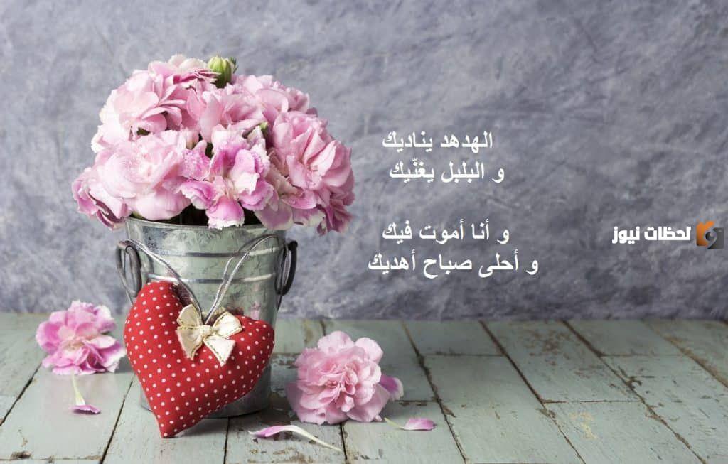 أجمل أبيات شعر لحبيبتي قصيرة