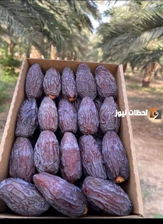  التمر