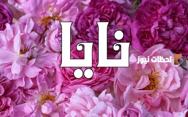 صور اسم نايا
