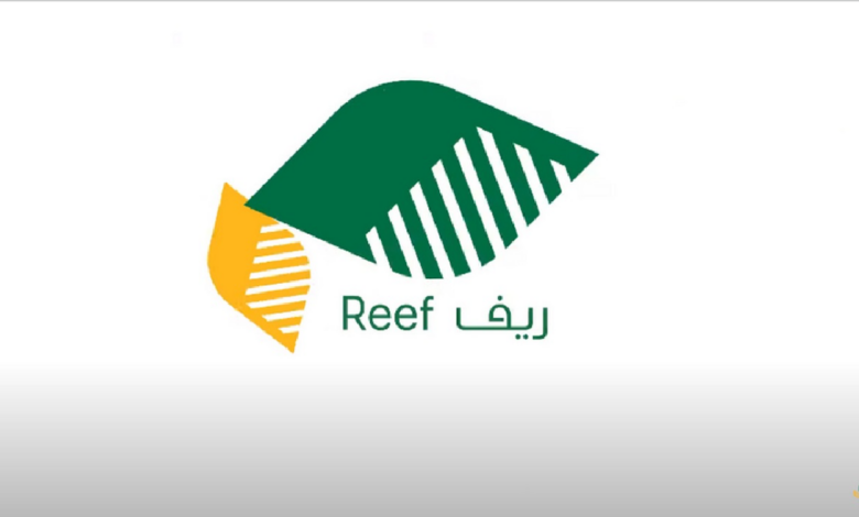 الدعم الريفي لربات البيوت في السعودية 
