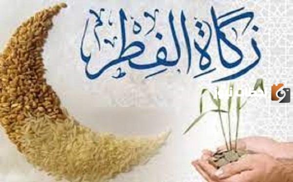 حكم نقل زكاة الفطر وإخراجها قيمة