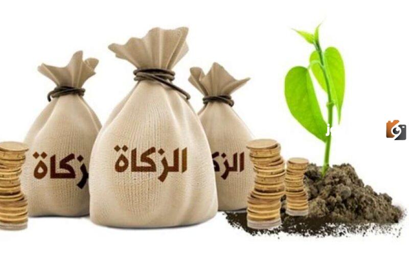 قيمة زكاة الفطر بالمال والحبوب