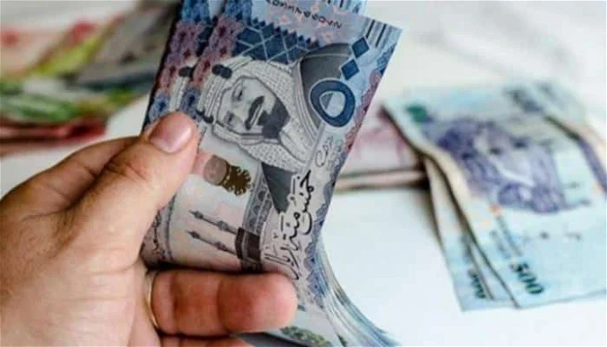 كيف استخدم حاسبة الضمان المطور