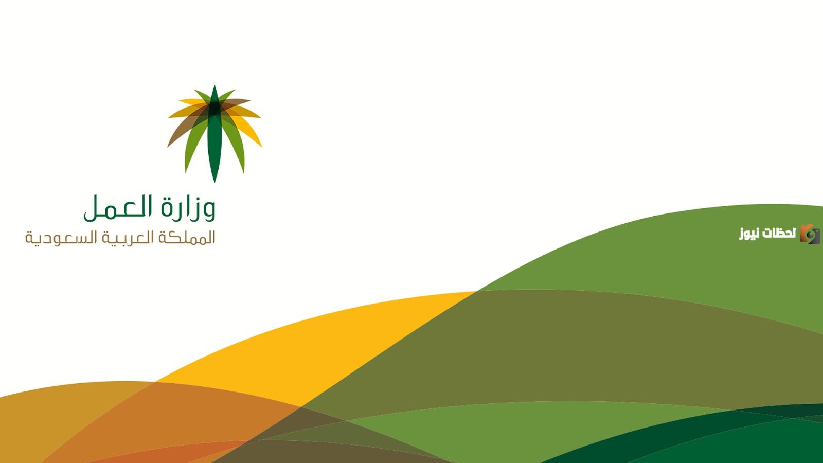 كيف استعلم عن نطاق المؤسسة برقم السجل التجاري