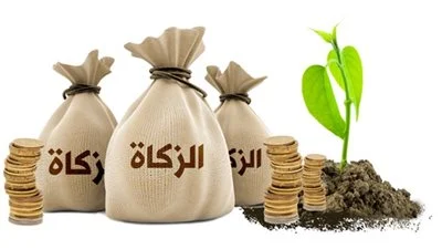 هل تخرج الزكاة على نفس المبلغ كل سن