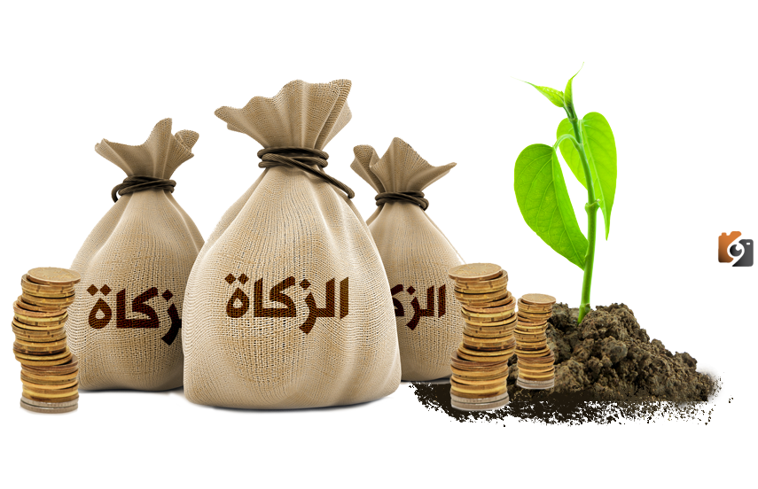 من هم الأشخاص الذين لا يستحقون الزكاة؟