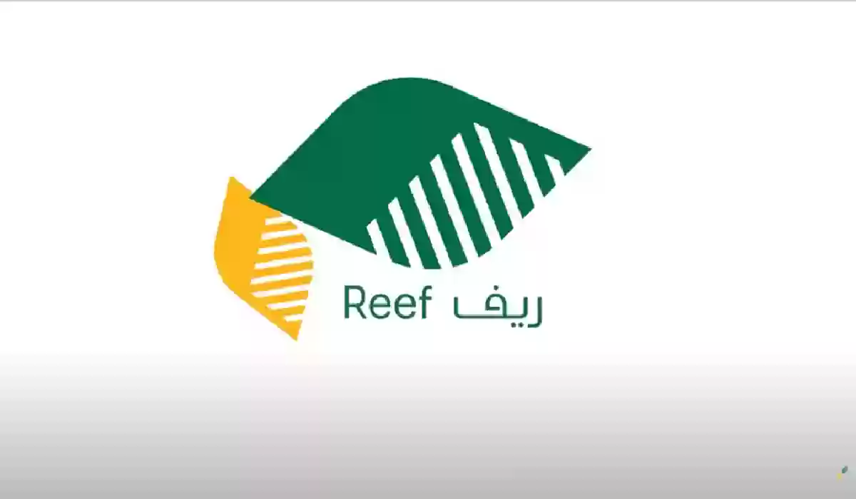 هذه خطوات الاستعلام ومتطلبات الحصول على الدعم