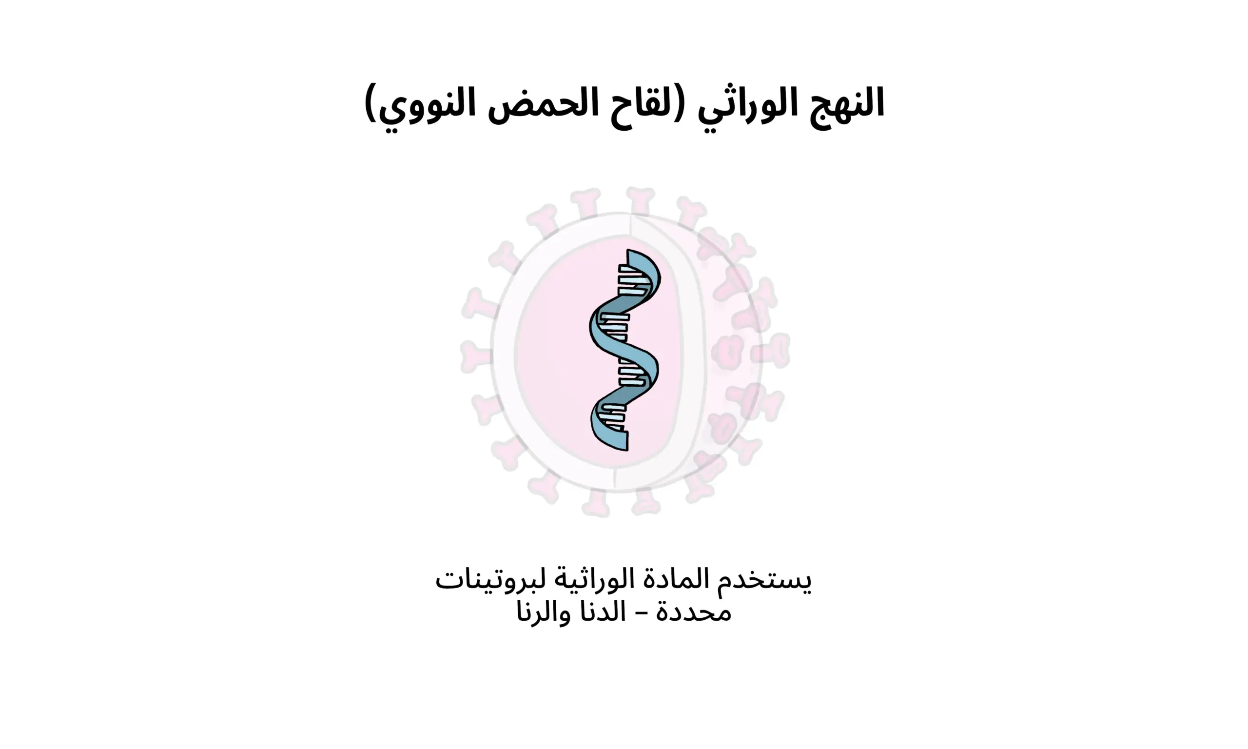  أنواع اللقاحات المطلوبة للسماح بأداء الفريضة