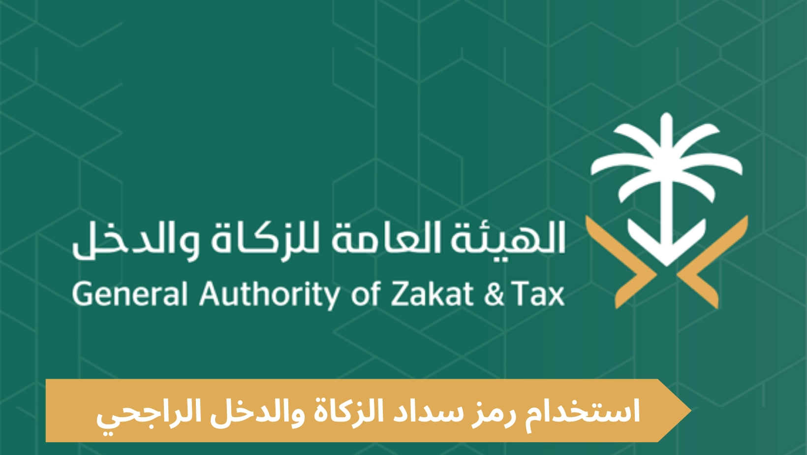 كيف اعرف كم على في الزكاة والدخل